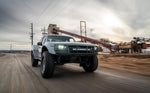 1980-1996 Ford F-150/Bronco "Newhan" One Piece