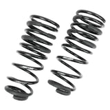 +1" Rear Springs