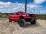 2009-2014 Ford F-150 Bedsides - TT Style