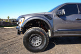 2021-2023 Ford F-150 "Deberti" Fenders