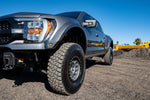 2021-2023 Ford F-150 "Deberti" Fenders